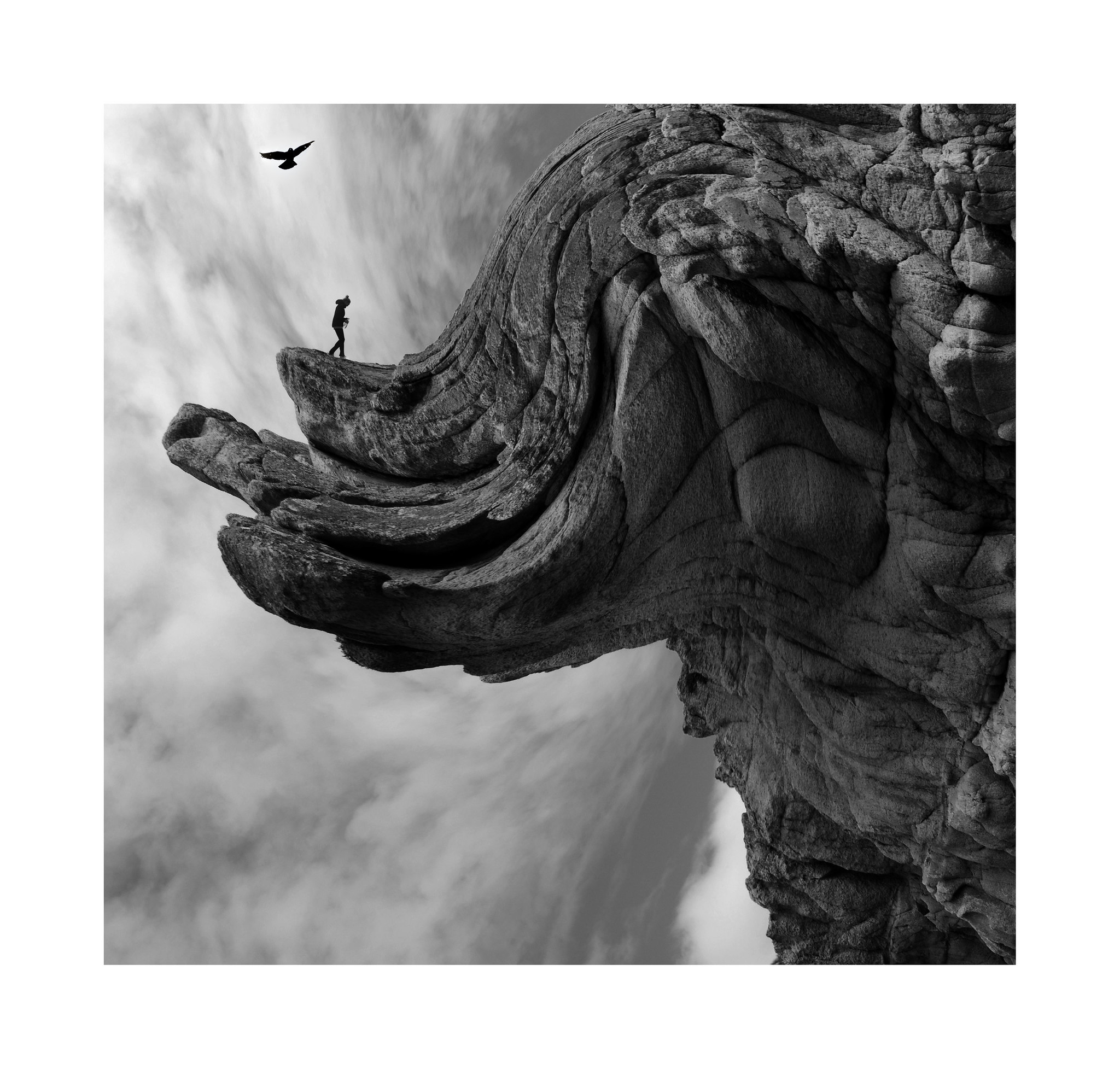 45200794455_ca0becb4eb_k