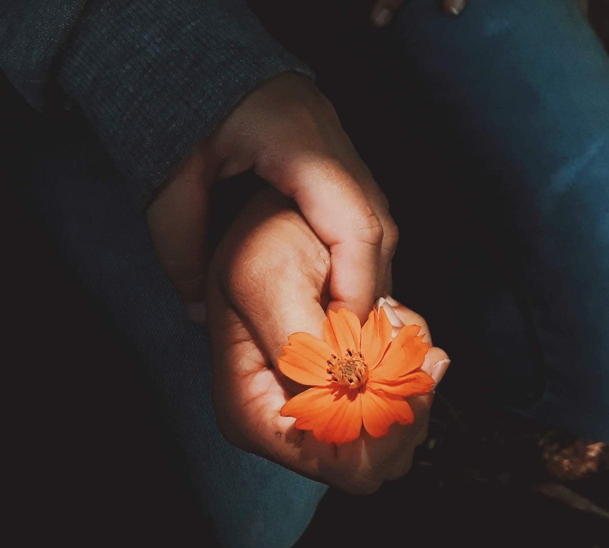 Photo by Raphael Brasileiro from Pexels