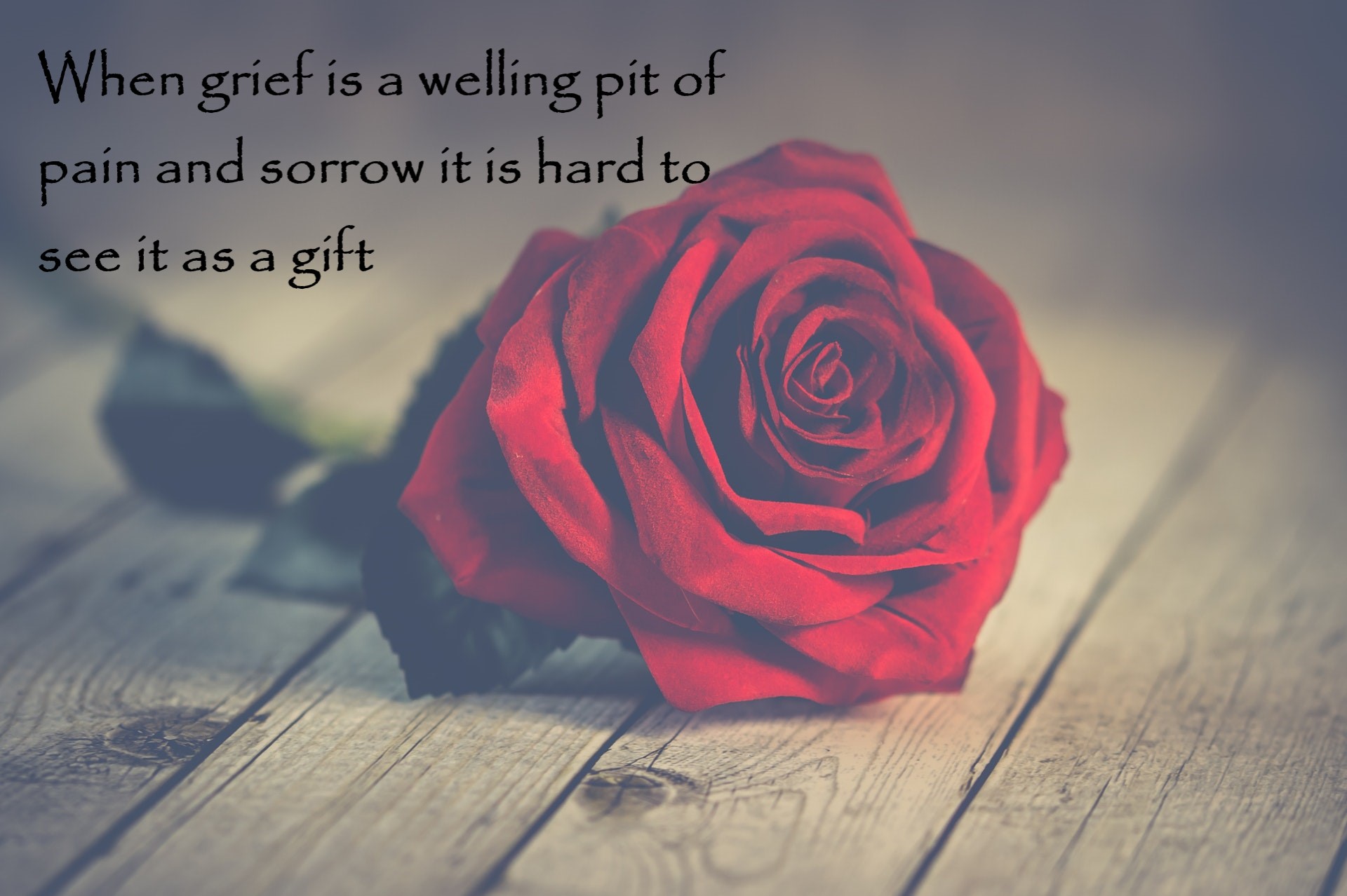 Photo by Ylanite Koppens from Pexels 1A