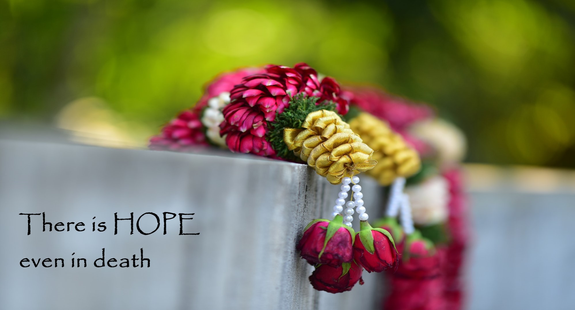 Photo by Irina Iriser from Pexels 1A