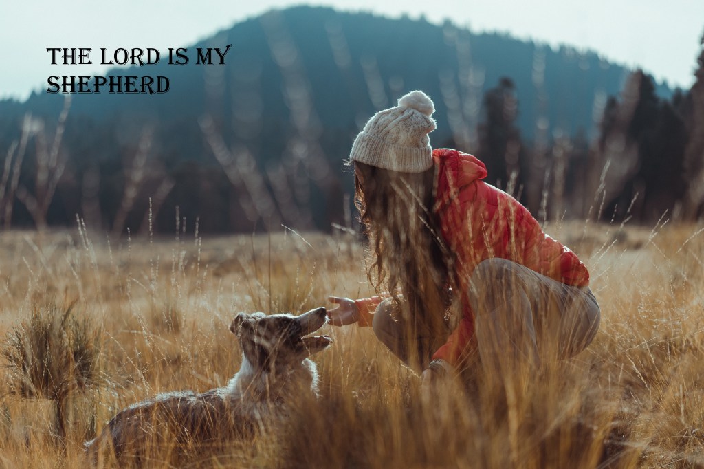 A MASTERPIECE IN MOTION: Walking in Step with our&nbsp;Shepherd